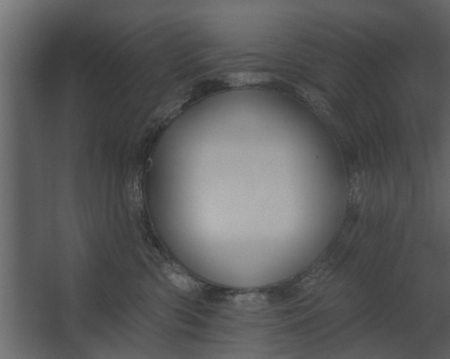 X0000067510426200604211756