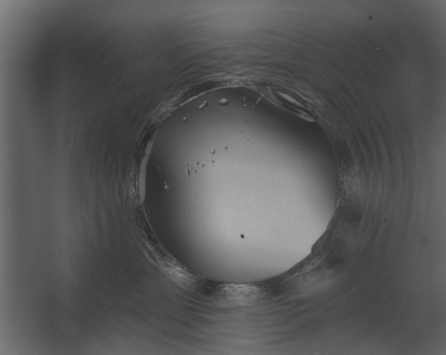 X0000067510429200604211756