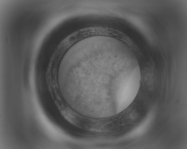 X0000067510431200604211756