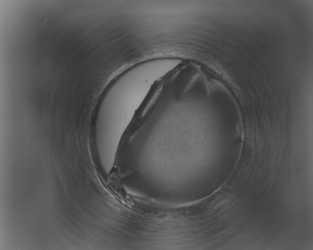 X0000067510434200604211755