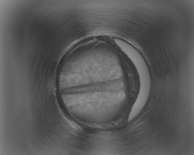 X0000067510438200604211755