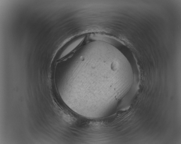 X0000067510440200604211755