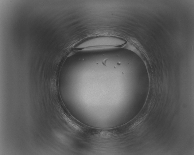 X0000067510441200604211755