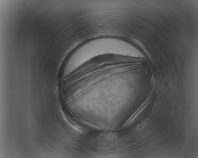 X0000067510443200604211755