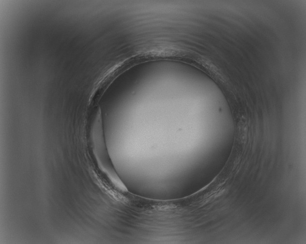 X0000067510446200604211755