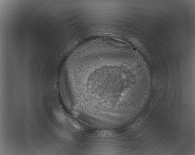 X0000067510449200604211755