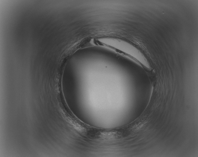 X0000067510450200604211755