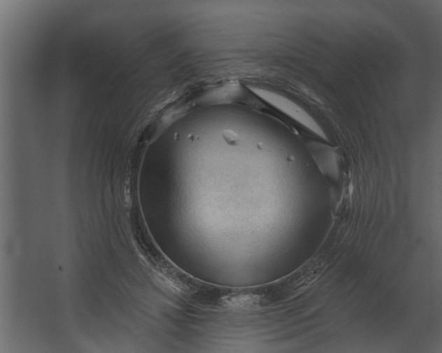 X0000067510452200604211755