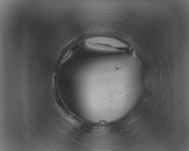 X0000067510454200604211755