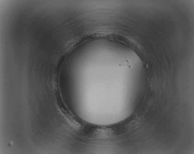 X0000067510455200604211755