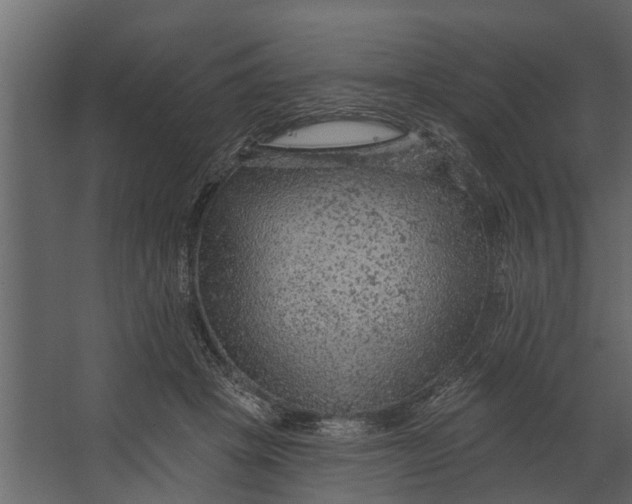 X0000067510457200604211755