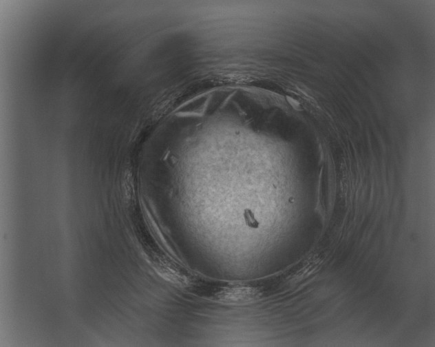 X0000067510459200604211755