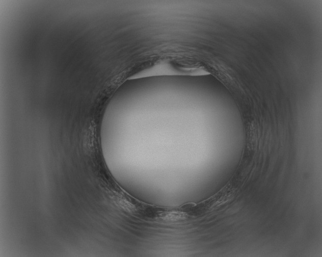 X0000067510463200604211755