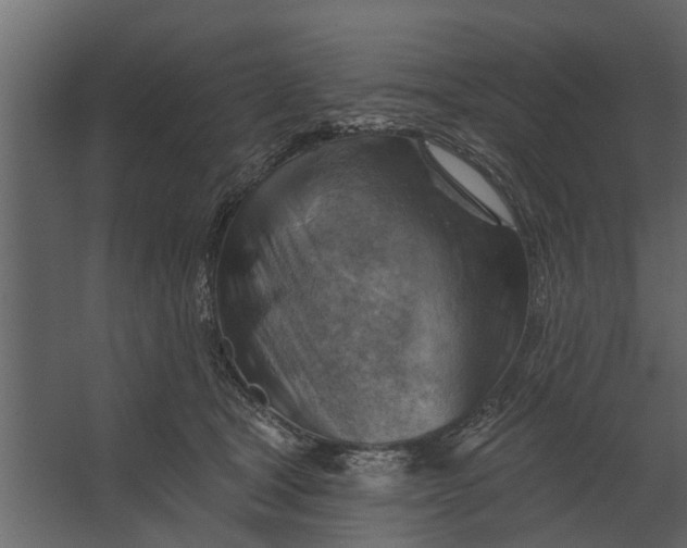 X0000067510465200604211755