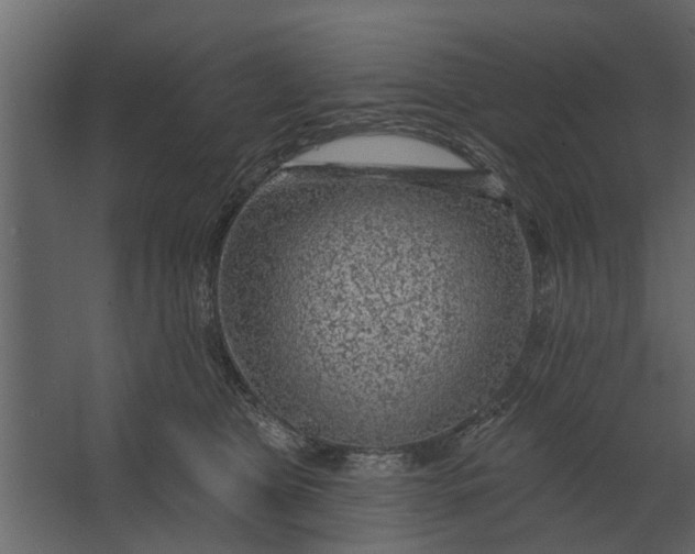 X0000067510469200604211755