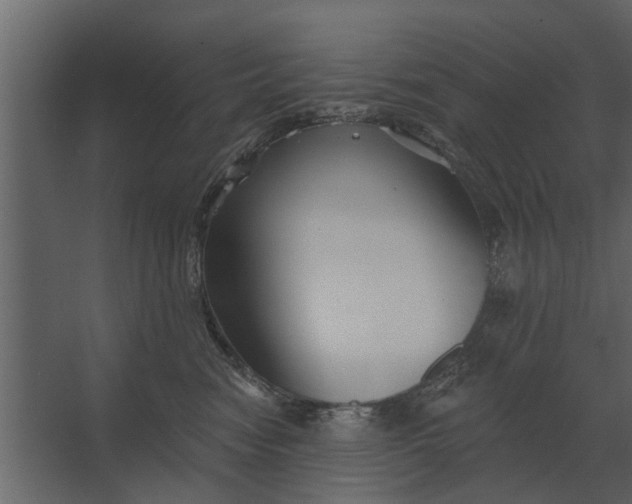 X0000067510474200604211755