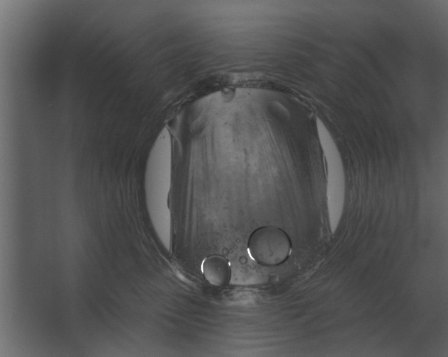 X0000067510475200604211755