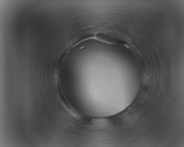 X0000067510476200604211755