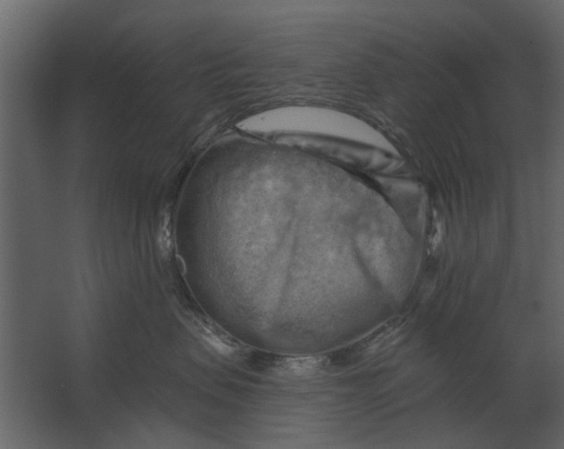 X0000067510479200604211756