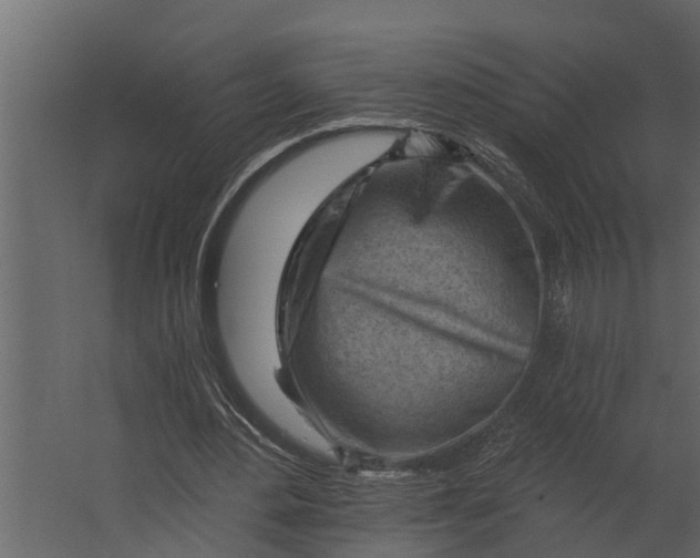 X0000067510484200604211755