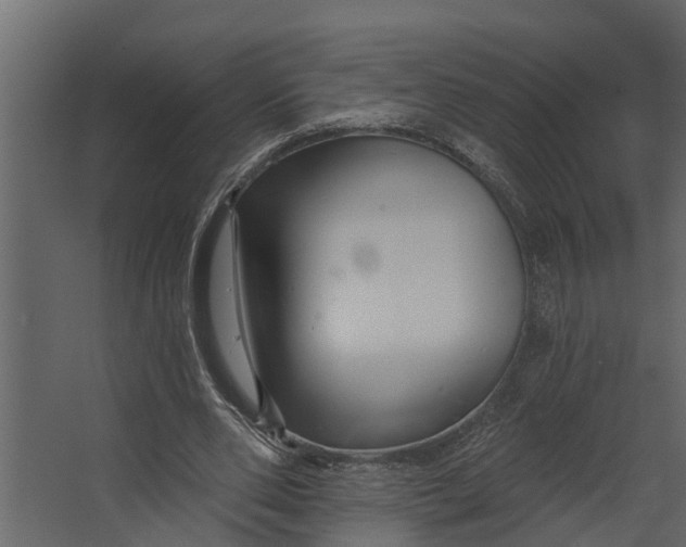 X0000067510486200604211755