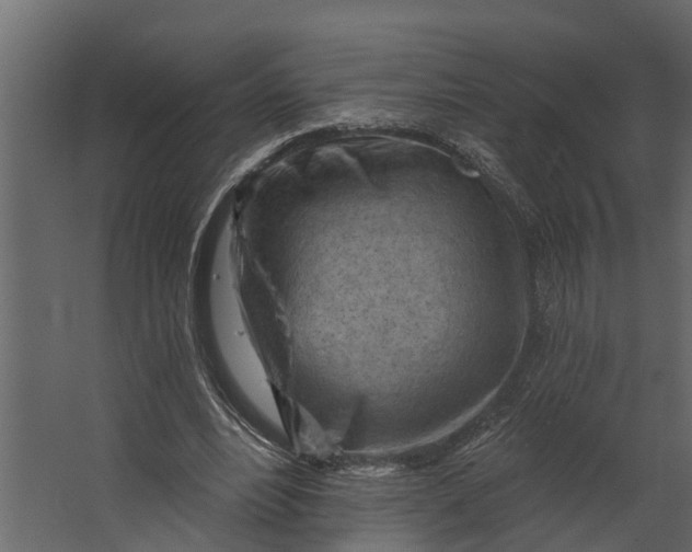 X0000067510488200604211755