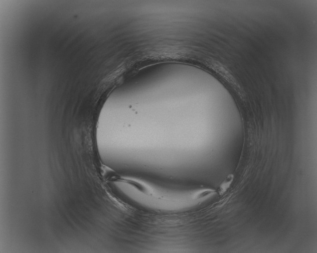 X0000067510489200604211755