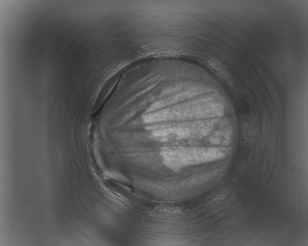 X0000067510491200604211755