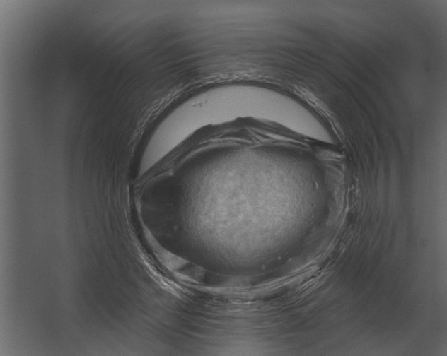 X0000067510493200604211755