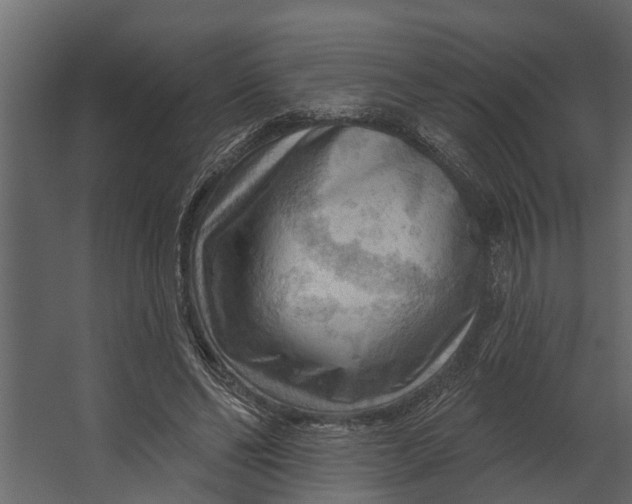 X0000067510494200604211755