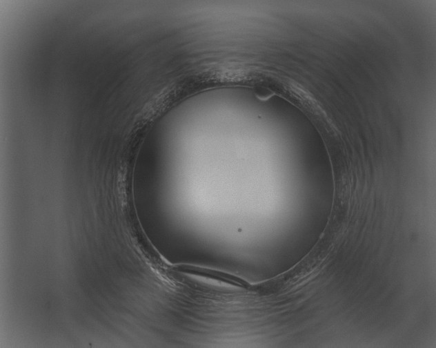 X0000067510497200604211754