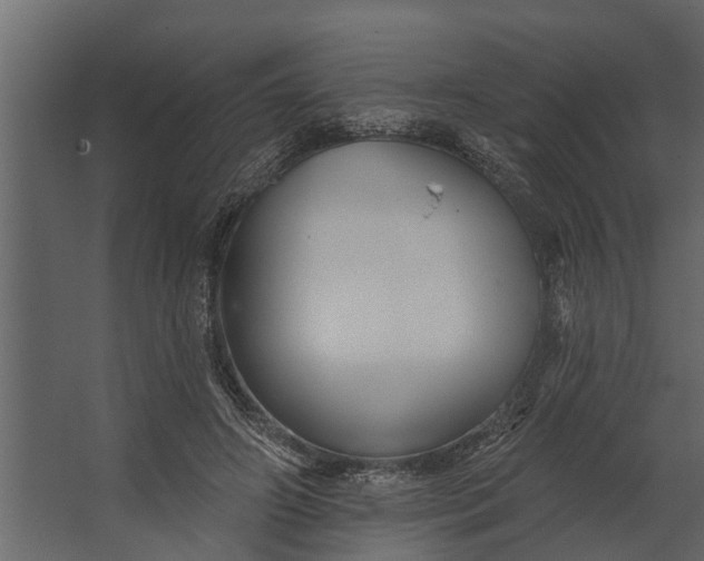 X0000067510498200604211754