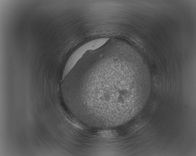 X0000067510499200604211754