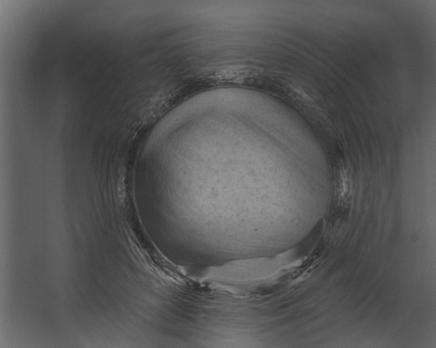 X0000067510504200604211754