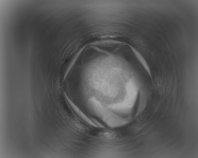 X0000067510506200604211754