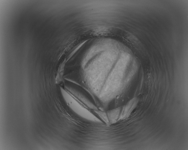 X0000067510508200604211754