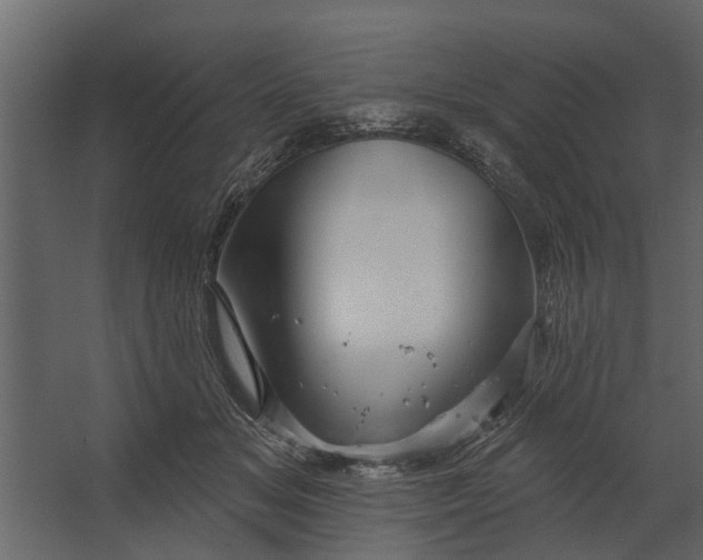 X0000067510509200604211754