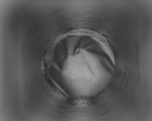 X0000067510512200604211754