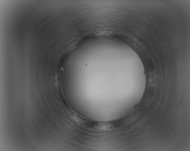 X0000067510514200604211754