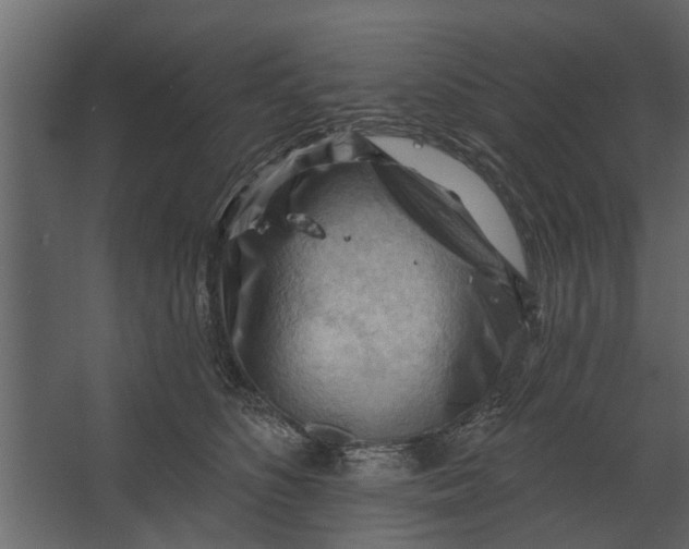 X0000067510516200604211754