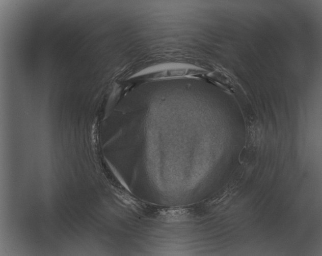 X0000067510517200604211754