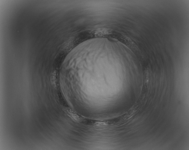 X0000067510519200604211754