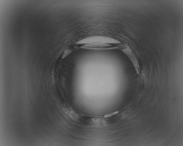 X0000067510520200604211754