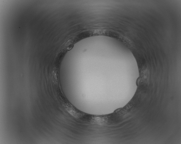 X0000067510522200604211754