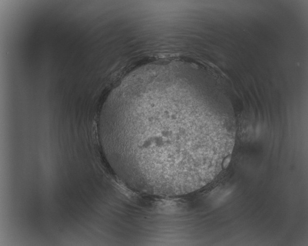 X0000067510523200604211754