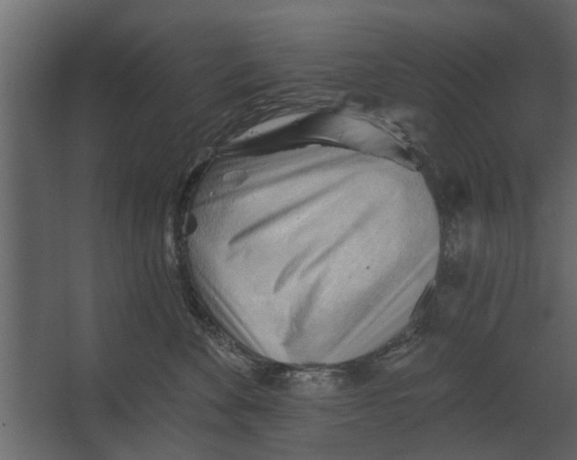 X0000067510524200604211754