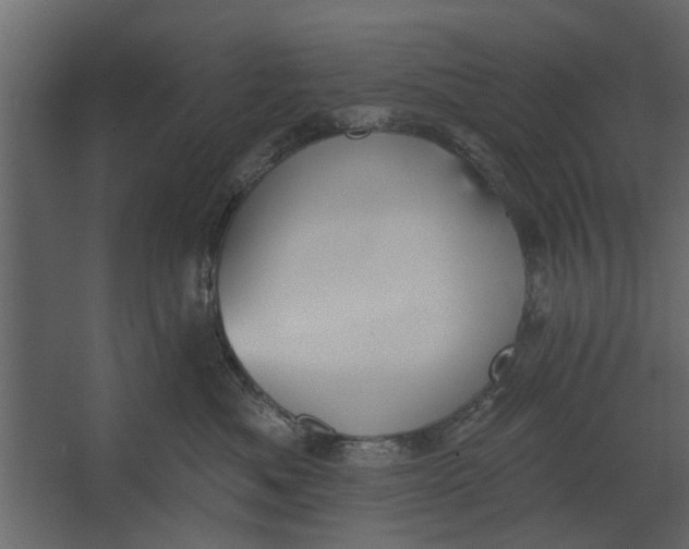 X0000067510525200604211754