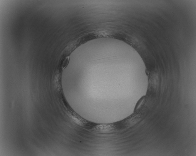 X0000067510526200604211754