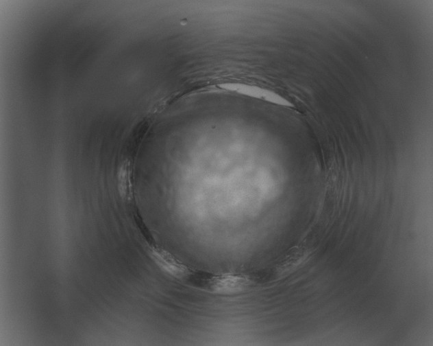 X0000067510527200604211754