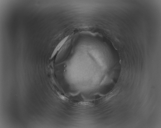 X0000067510528200604211754